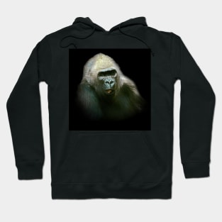 Gorilla portrait Hoodie